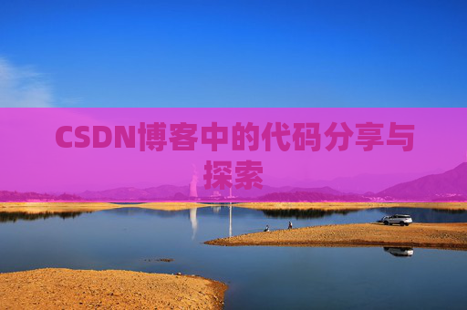 CSDN博客中的代码分享与探索